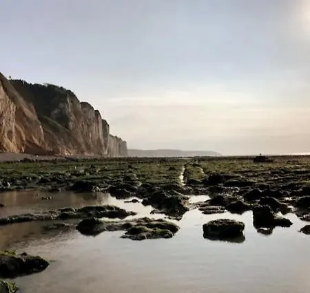 Apartment L'albatros Dieppe